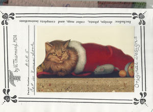 Cat in Xmas Sock - Vi Thurmond ACR5