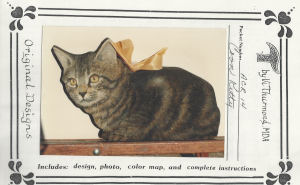 Coon Kitty - Vi Thurmond ACR14
