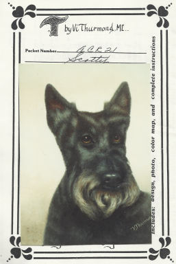 Scottie - Vi Thurmond ACR21