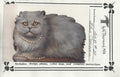 Blue Persian - Vi Thurmond ACR28