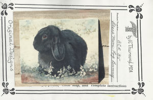 Black Mini Lop - Vi Thurmond ACR35