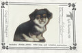 Peke Puppy - Vi Thurmond ACR37
