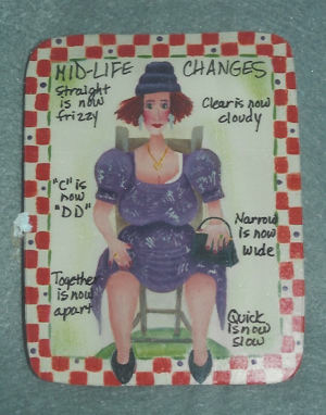 Midlife Changes Lady in purple dress - Michele Trout