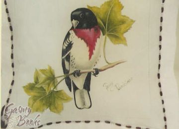 Rose _ Breasted Grosbeak -  Terry Pernicaro