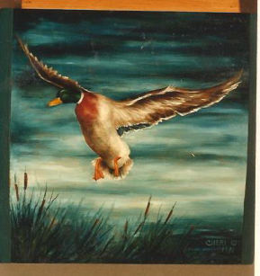 Mallard in Flight - Cheri Rol